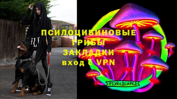 марки lsd Няндома
