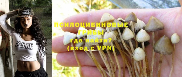 экстази Нязепетровск