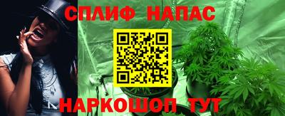 винт Будённовск