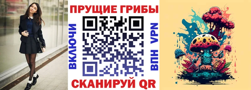 Псилоцибиновые грибы Psilocybine cubensis блэк спрут ссылки Губкинский