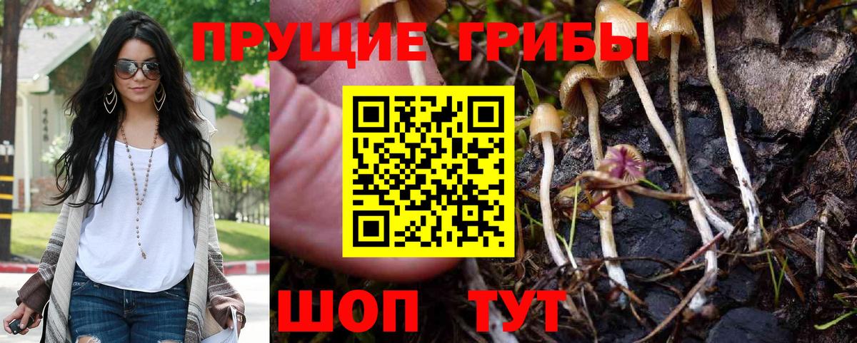 где продают наркотики  Галлюциногенные грибы Psilocybe  Вход с VPN  Губкинский 