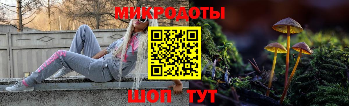 Галлюциногенные грибы MAGIC MUSHROOMS  купить закладку  Губкинский 