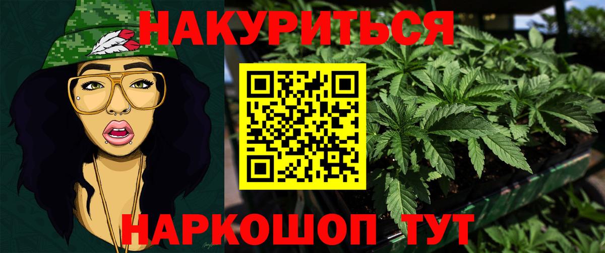 Каннабис конопля Губкинский